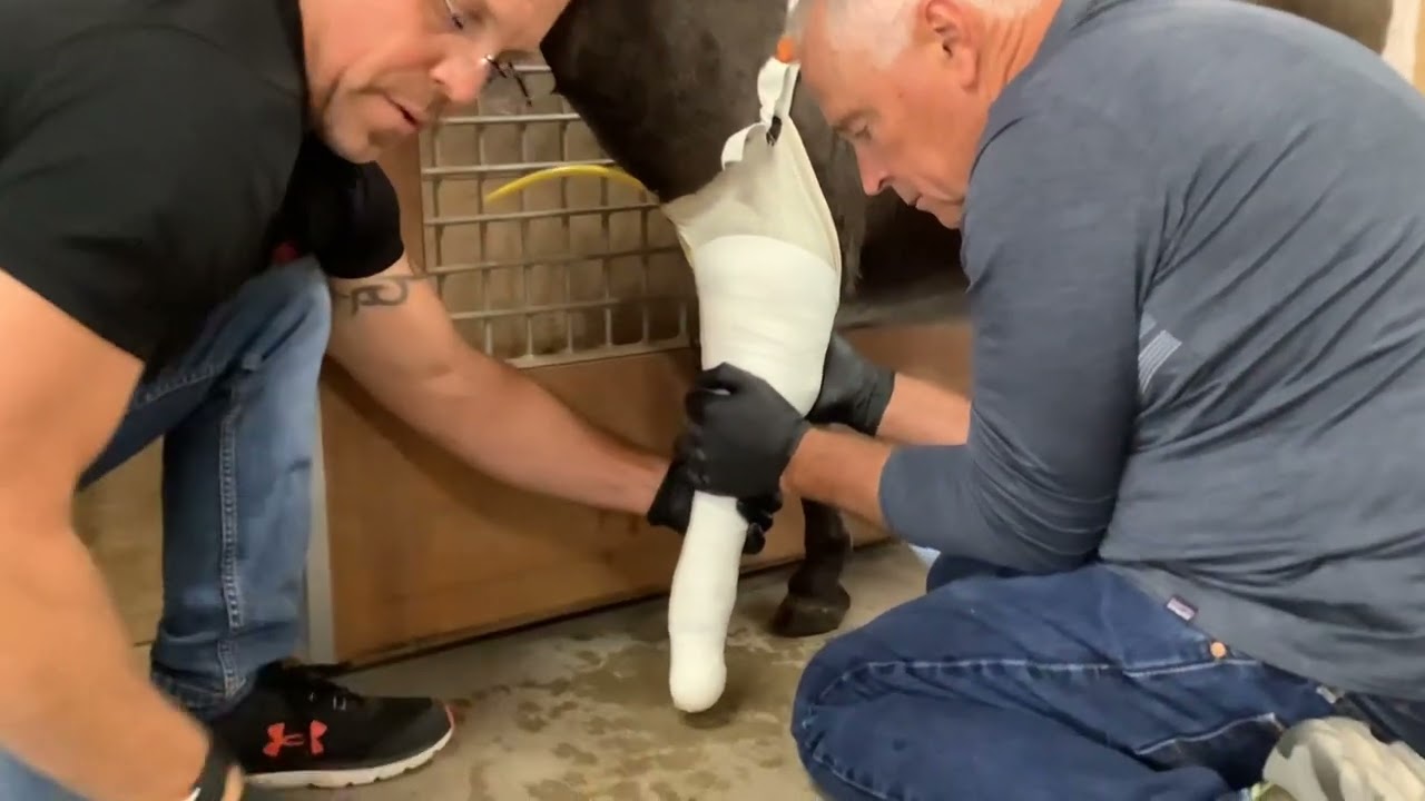 Henry’s casting for his new prosthesis