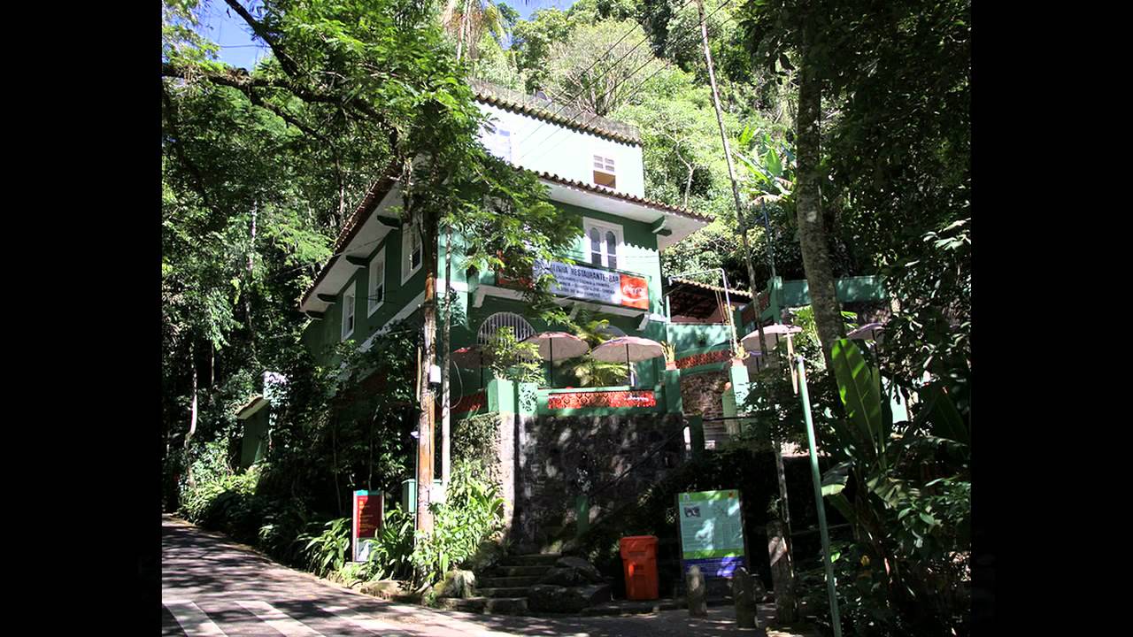 Floresta da Tijuca in Brazil