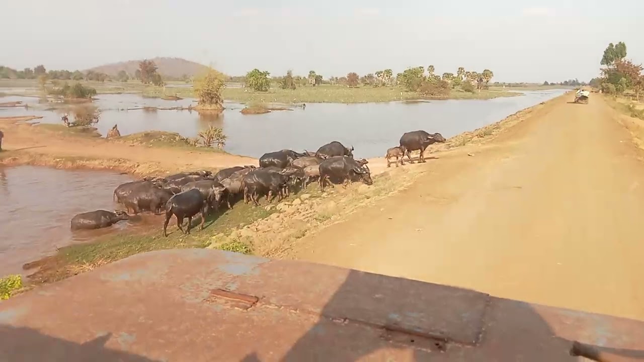 ទេសភាពមាត់អាងប្រាសាទប្រាំភ្នំតាដុងទឹកស្រកច្រើនណាស់