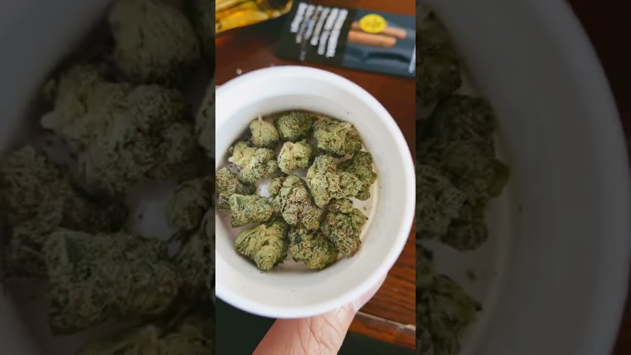 Triangle Kush T2 Flower | MUV