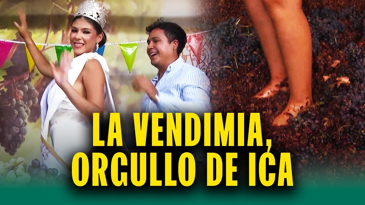 La tradición iqueña de la Vendimia: Así empieza el vino, el pisco y la cachina