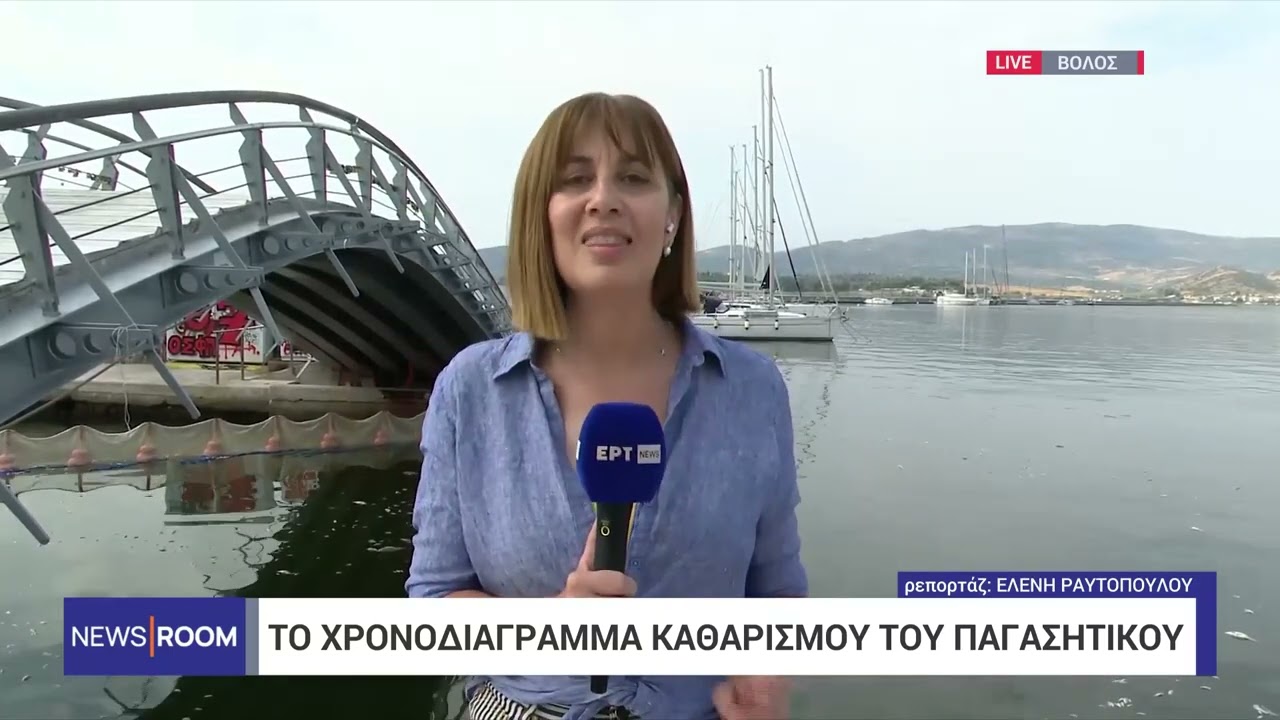 Βόλος: Πλέγμα ανάσχεσης νεκρών ψαριών τοποθετείται στο λιμάνι | 29/8/2024 | ΕΡΤ
