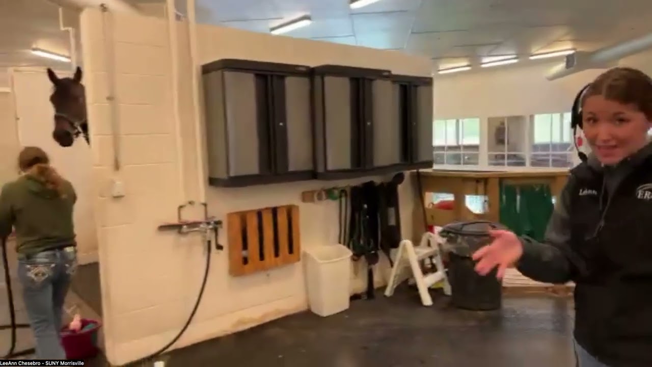 SUNY Morrisville Equine Rehabilitation Center Virtual Field Trip - May 2025