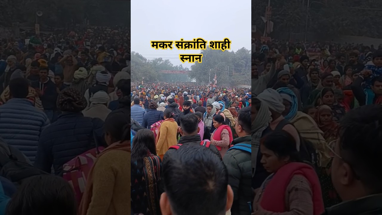 makar sankranti shahi snan video #makarsankranti #kumbhmela2025 makar Sankranti #shorts