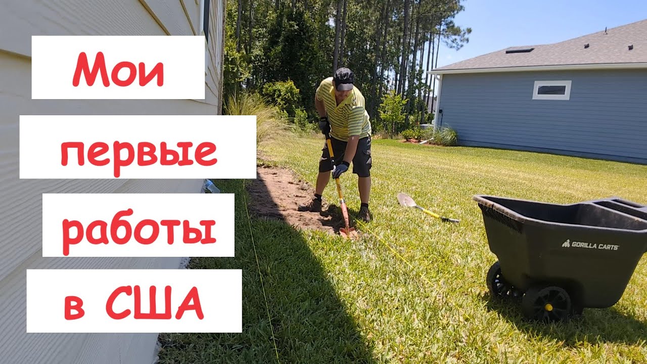 Мои первые работы в США