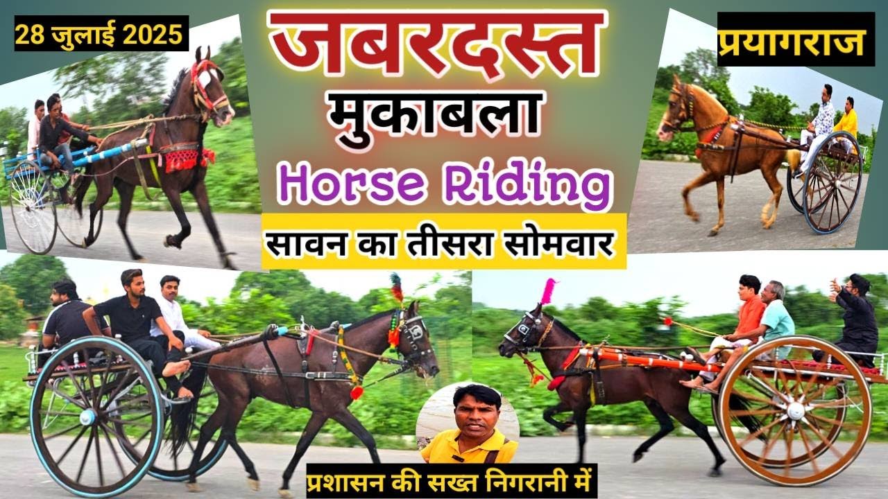जबरदस्त मुकाबला | सावन का तीसरा सोमवार | Horse riding | गहरे बजी | प्रशासन की कड़ी निगरानी #Horse
