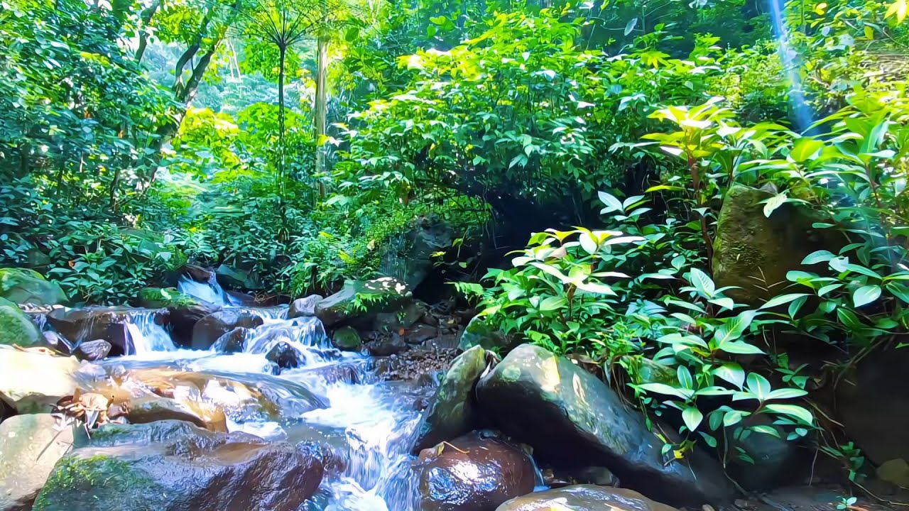 Natural River Water for Deep Rest