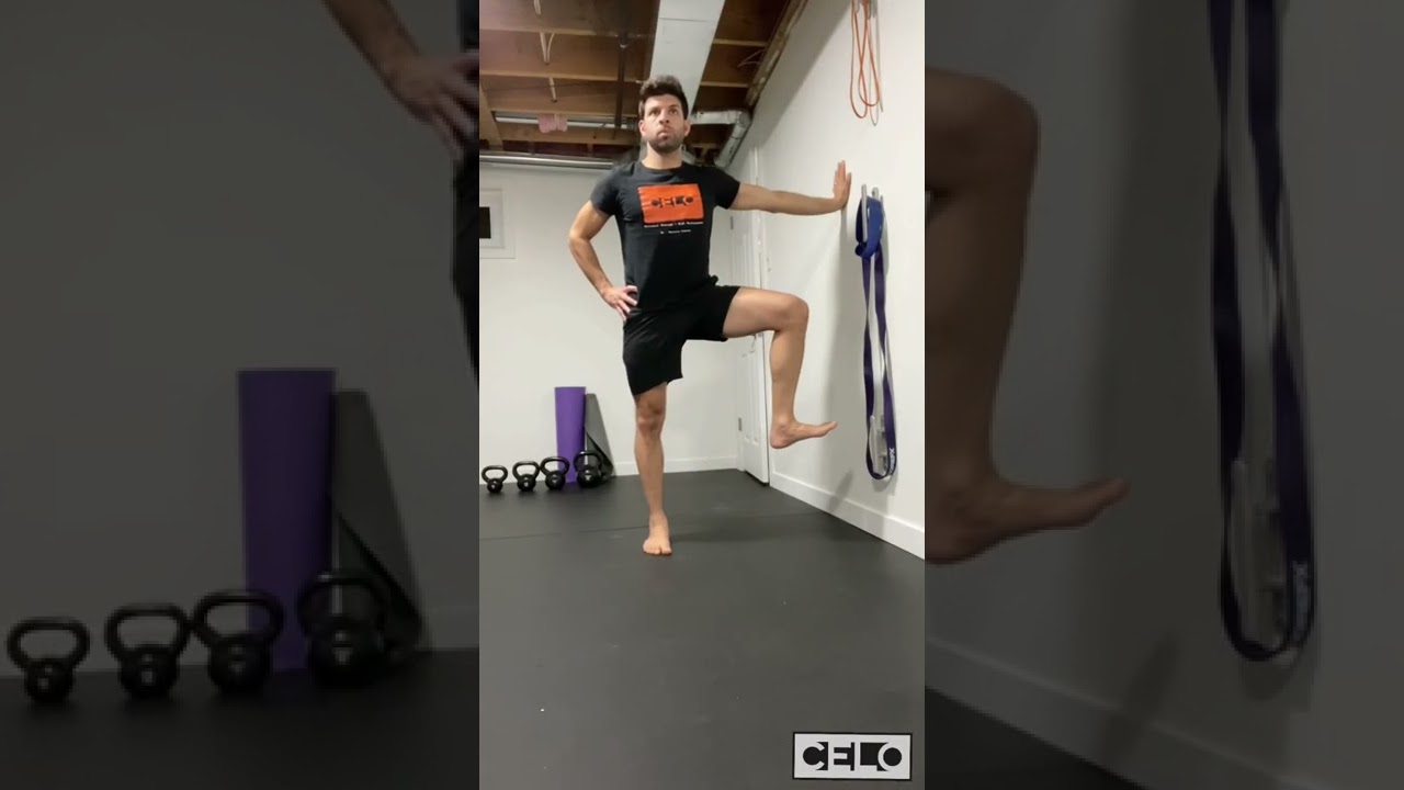 Hip Mobility - FRC Side ways wall hip CARs