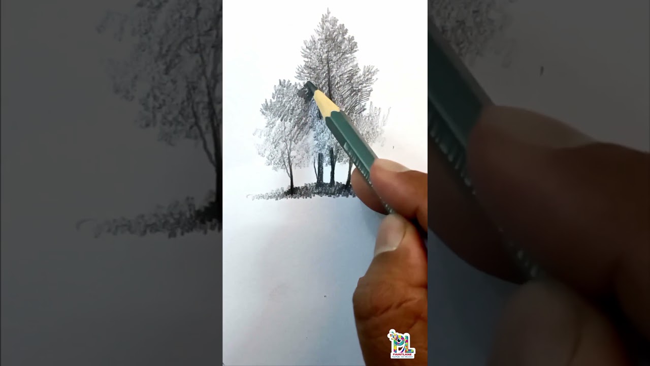 Drawing Trees and water reflection 