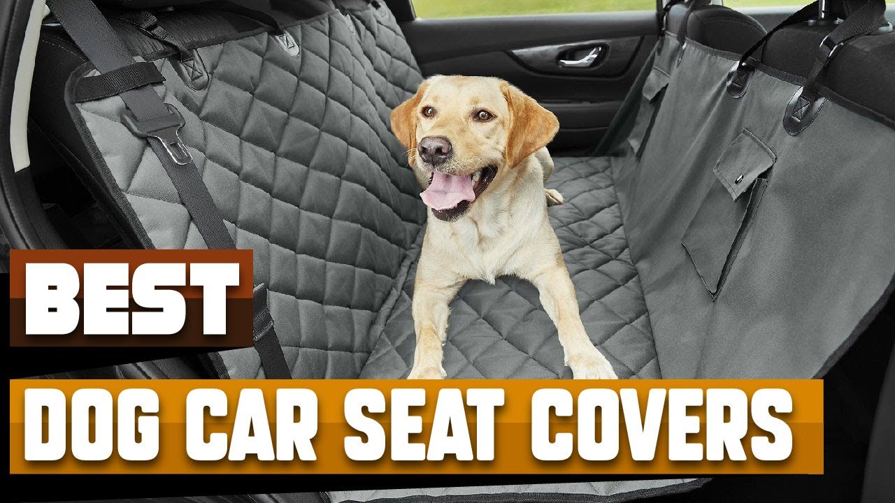 Best Dog Car Seat Cover In 2026 - Top 10 Dog Car Seat Covers Review