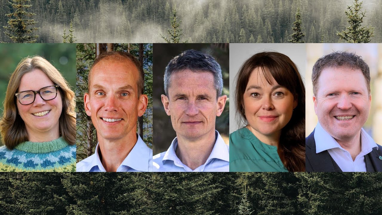 #endringsloggen nr 12: Kan skogen redde oss ut av klimakrisa?