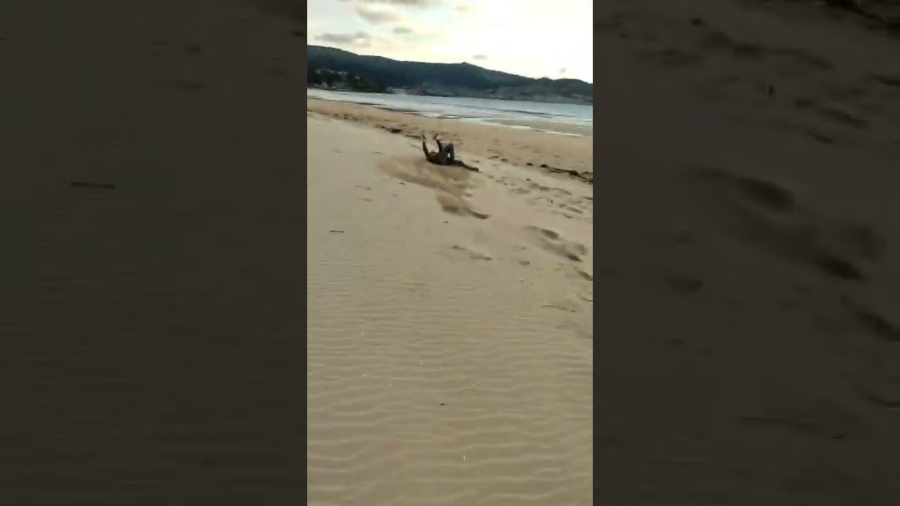 kite cometa traccion fail