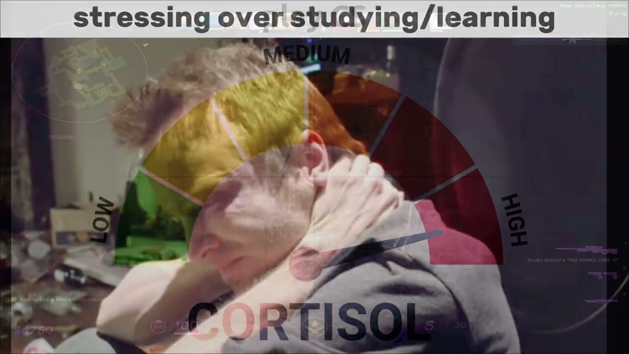 LOW CORTISOL 🪷 (CS2 MONTAGE)