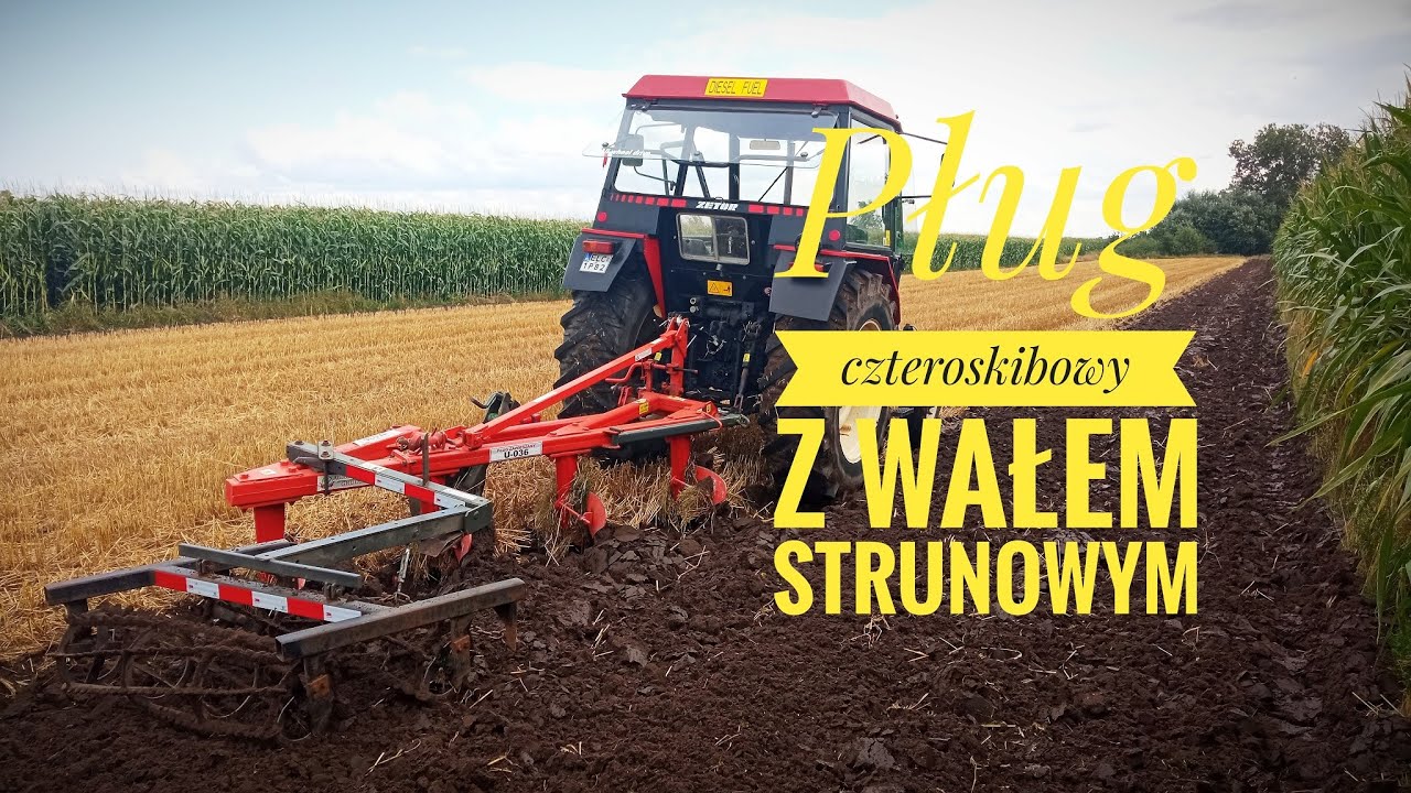 Podorywka 2021 z wałem strunowym