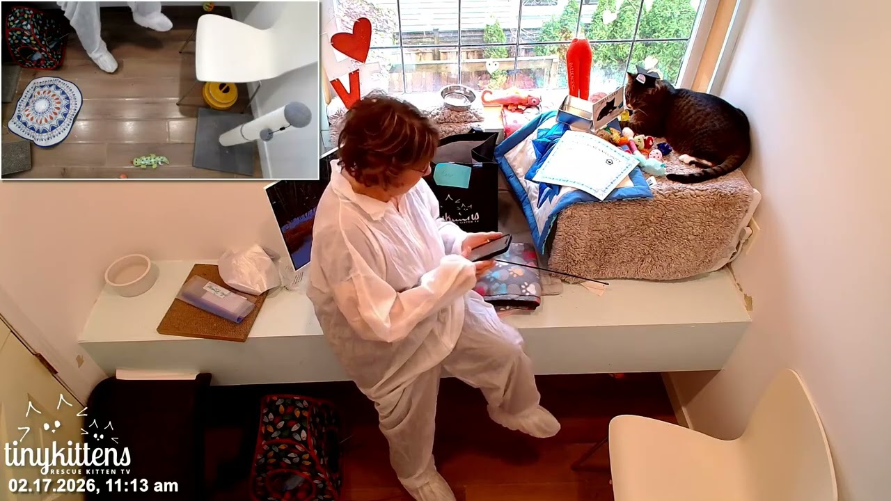 Hero's Suitcase packing & adoption! Feb 17 2026