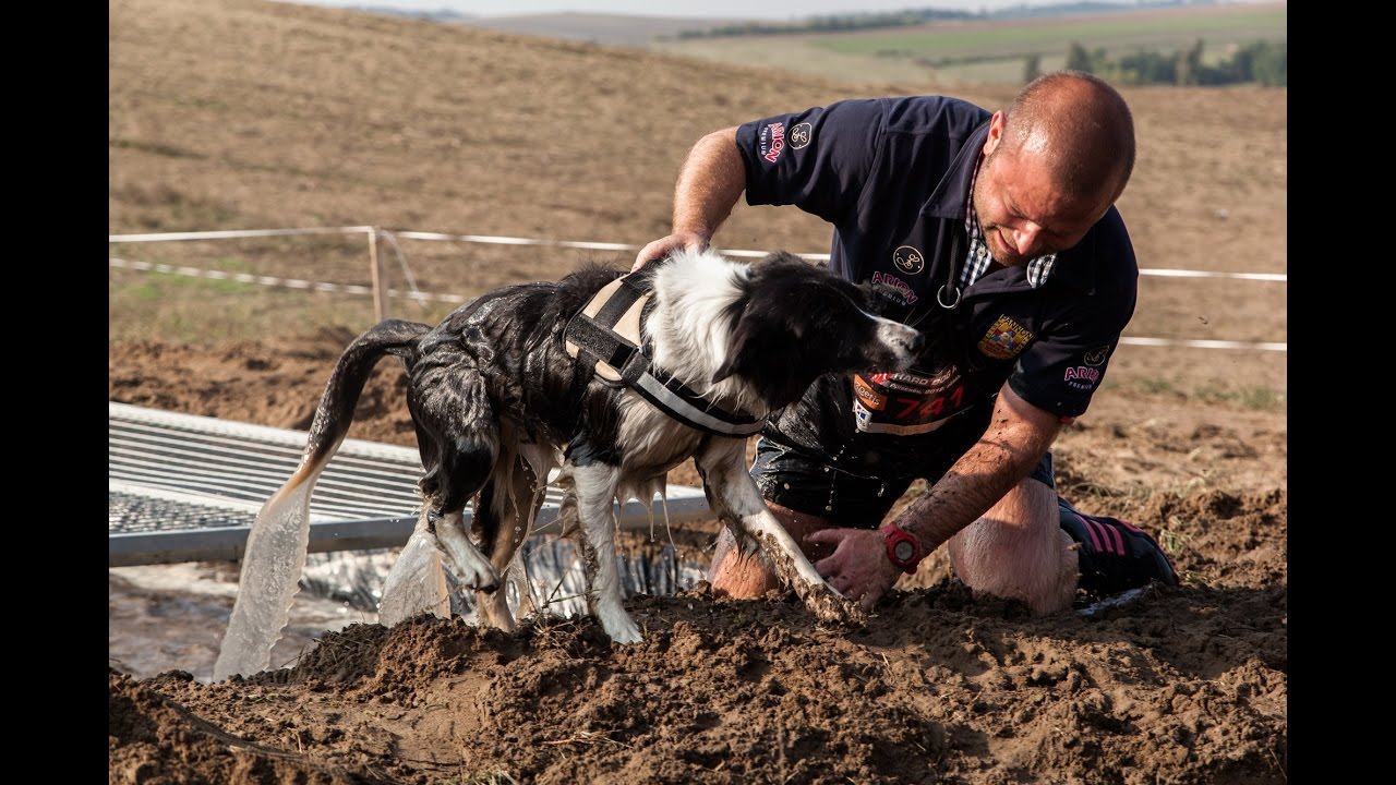 Hard Dog Race 2016.10. 01. Piliscsév - official HDR after video