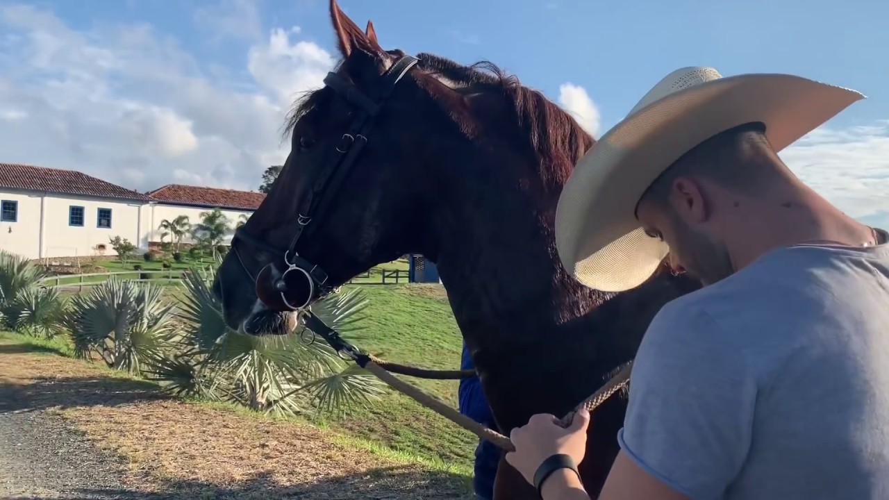 Country Roads / Dixieland Delight - Rodrigo Marim - Country Cover