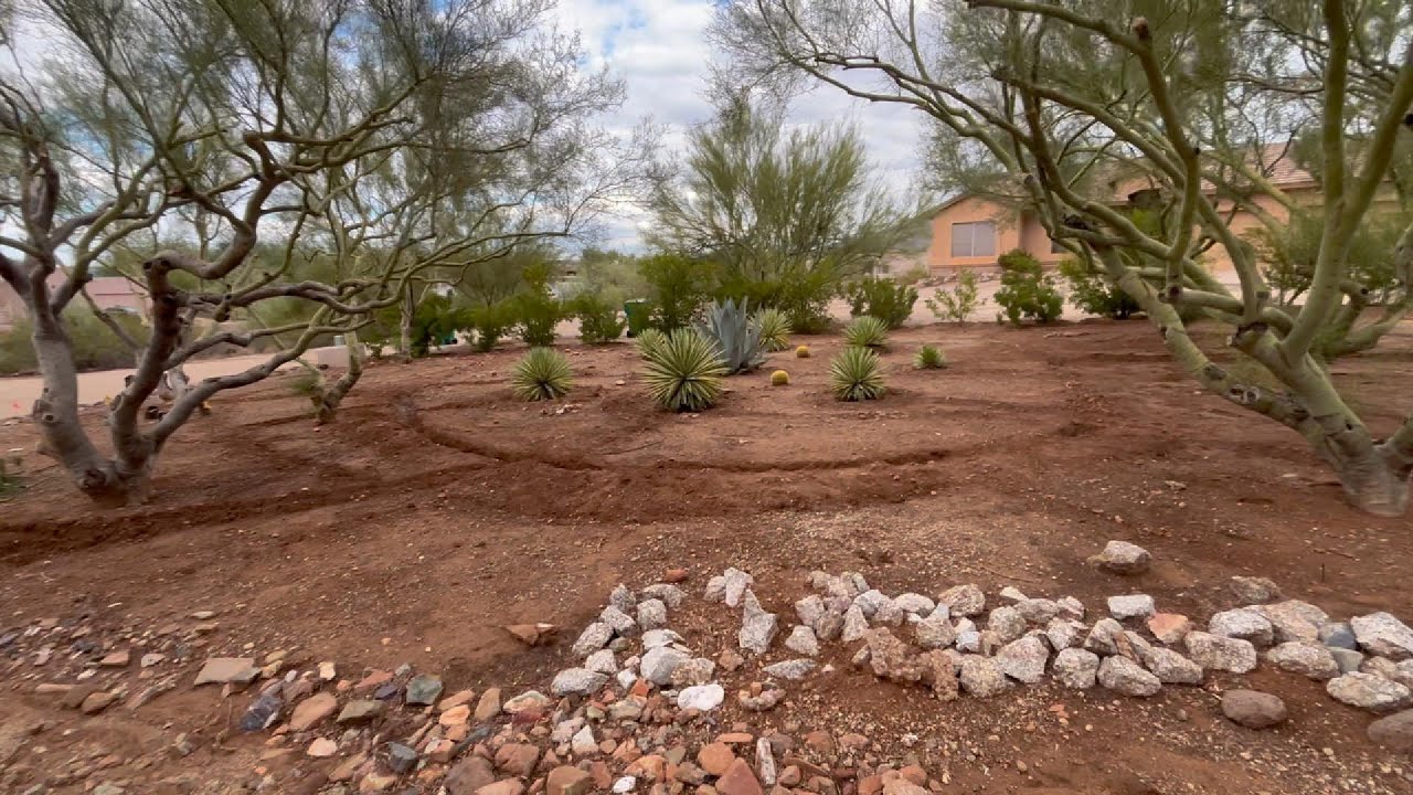 Passive Rainwater Harvesting After a Desert Rain | Slowing, Spreading & Sinking Water in Phoenix