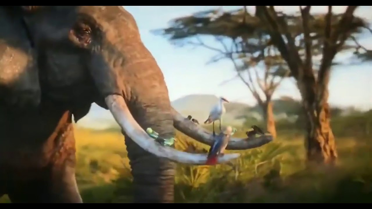 Lindiwe Mkhize, Lebo M. - Circle of Life/Nants' Ingonyama (Official Video from 
