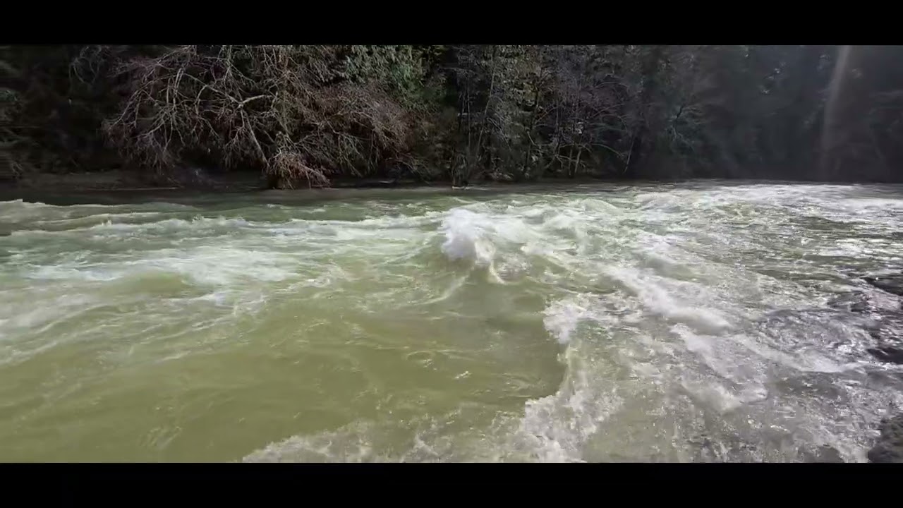 High water!!! #pnw #oregon #creek #river 