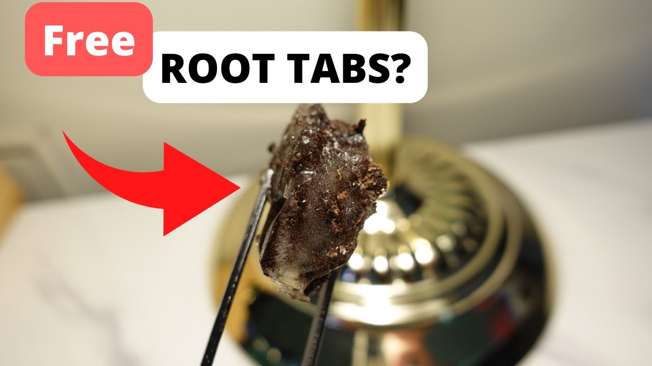 DIY Root Tabs For A Planted Aquarium