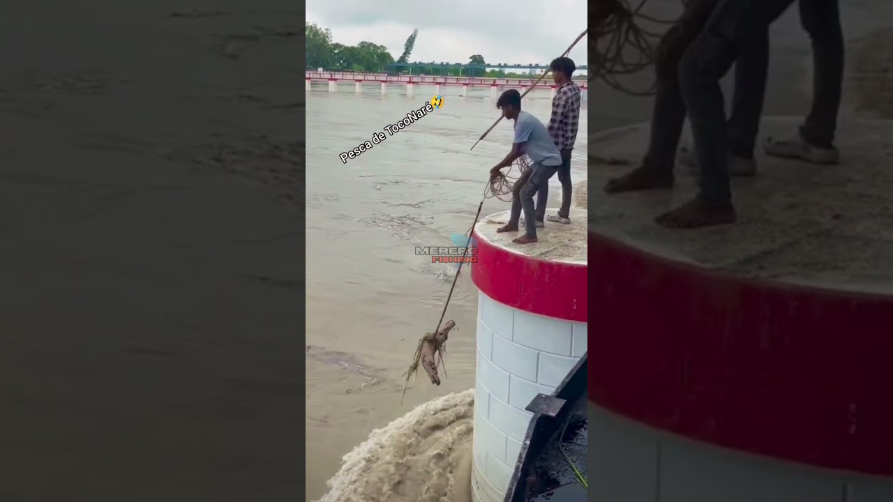Bora pra Pescaria de TOCoNAR&Eacute; 🤣🤣🤣 #mererofishing