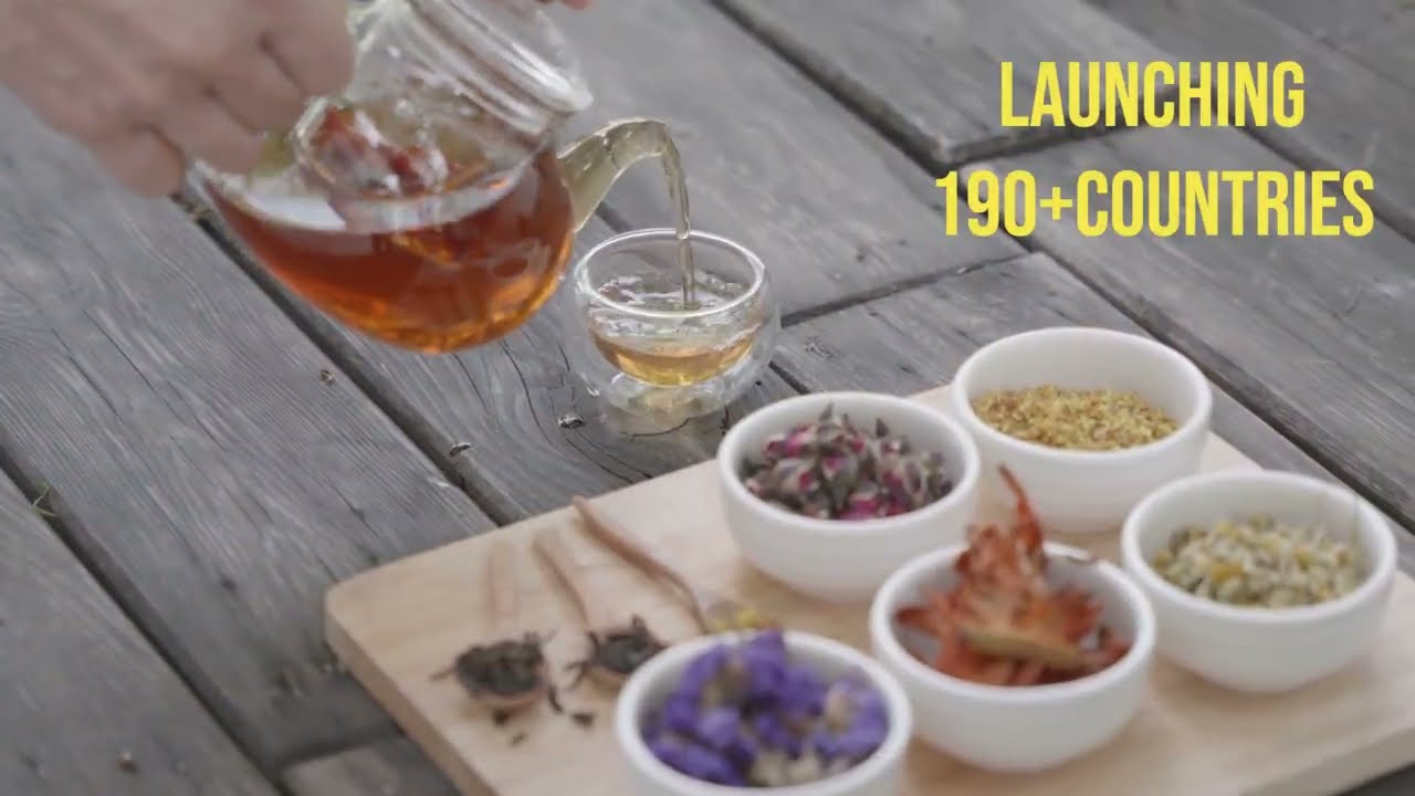 Two Leaf One Bud: Launching 100+ Tea Flavors in 190+ Countries l World's Largest Launching