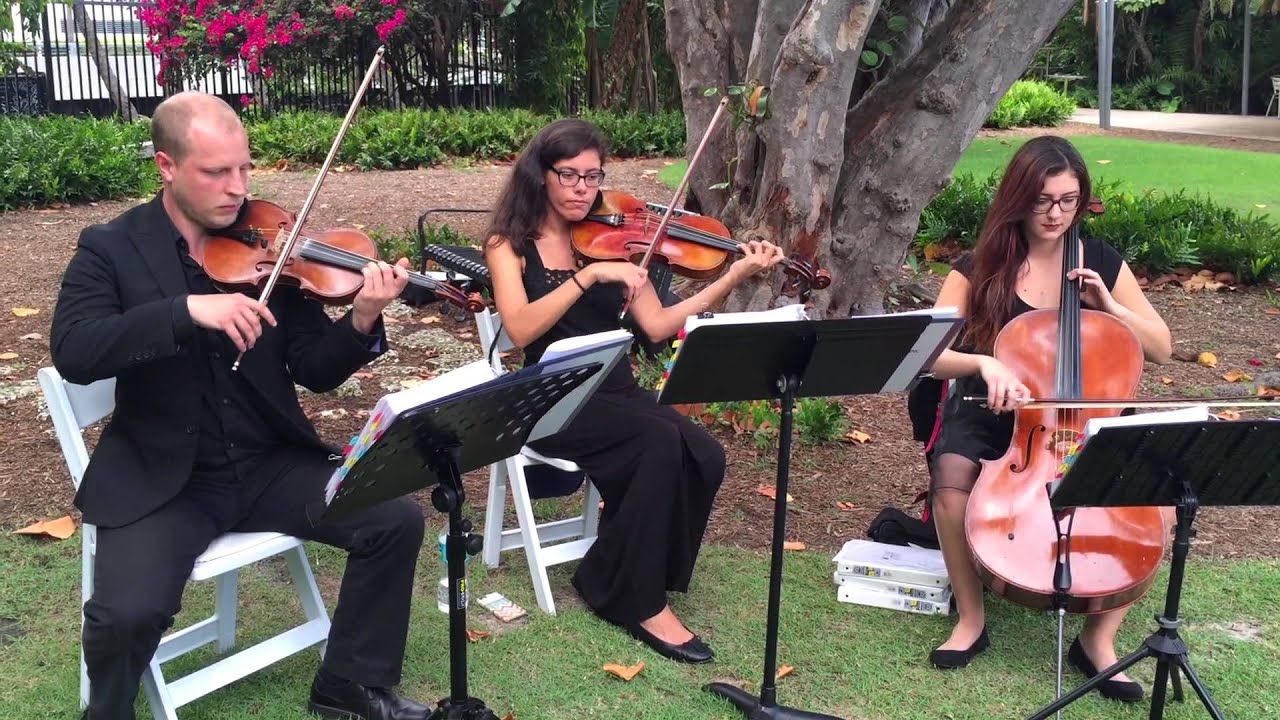 The AMI String Trio Live @ Miami Beach Botanical Garden
