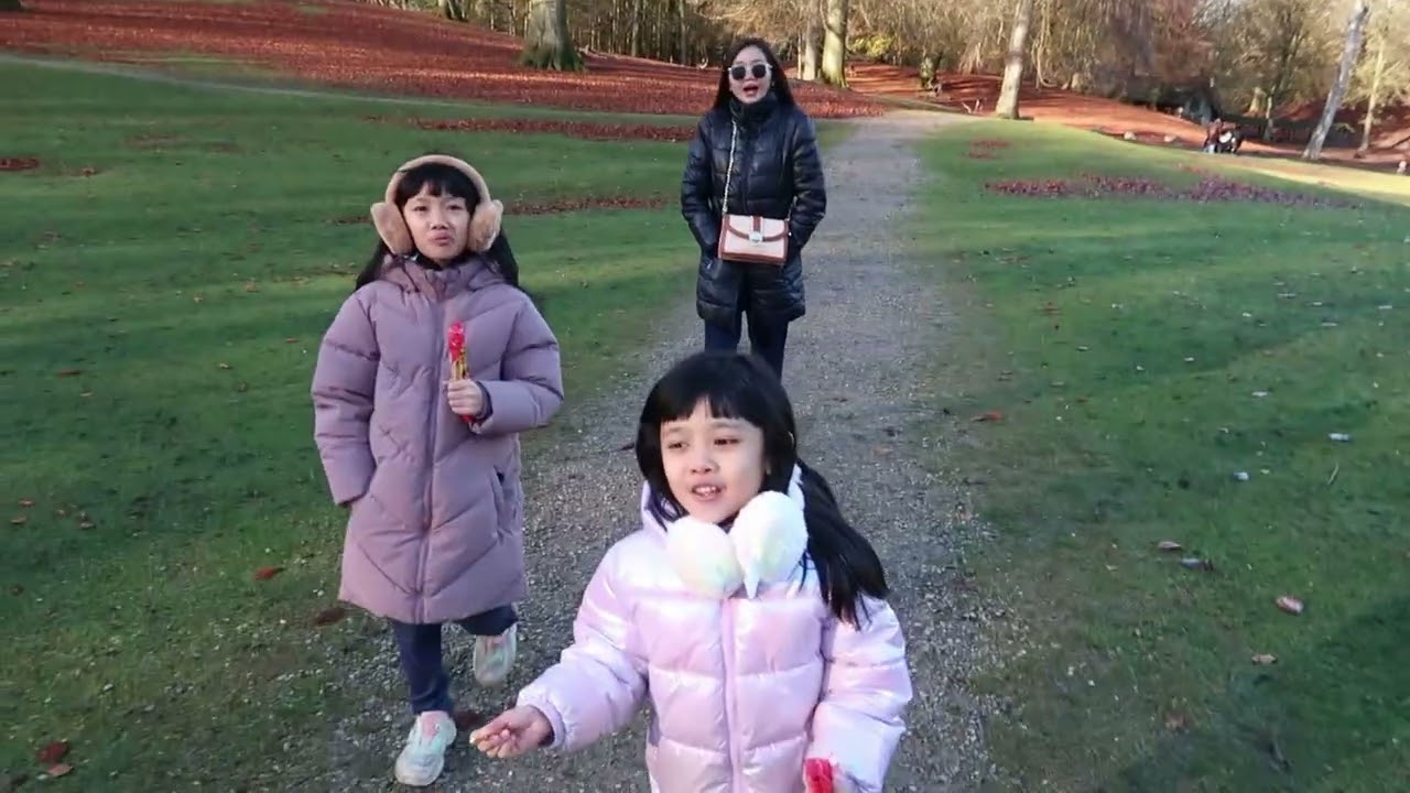 Taman Rusa - Marselisborg Deer Park Aarhus