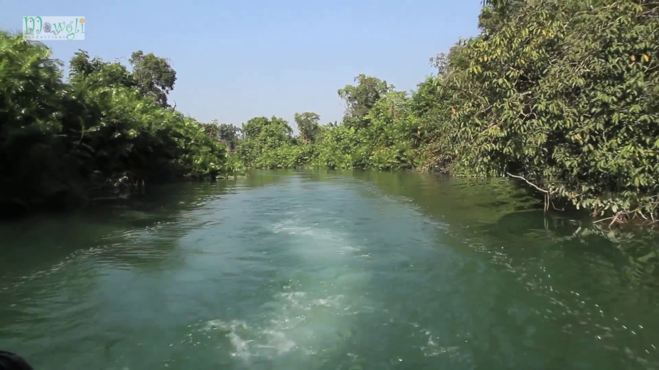 Boat Ride in Katarniaghat Wildlife Sanctuary