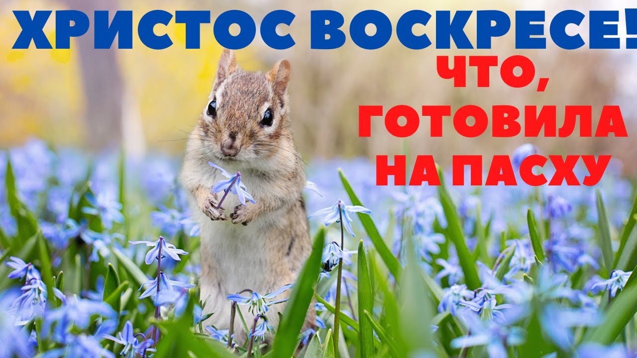 Что ПРИГОТОВИЛА на ПАСХАЛЬНЫЙ  СТОЛ. КУЛИЧИ как ПУХ