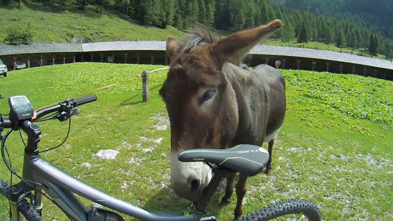 Le malghe di Forni di Sopra in E-Bike 2016