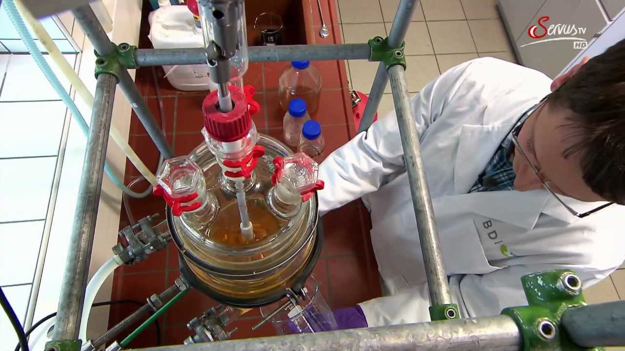 Biodiesel aus Speiseölabfällen mit industriellem Verfahren