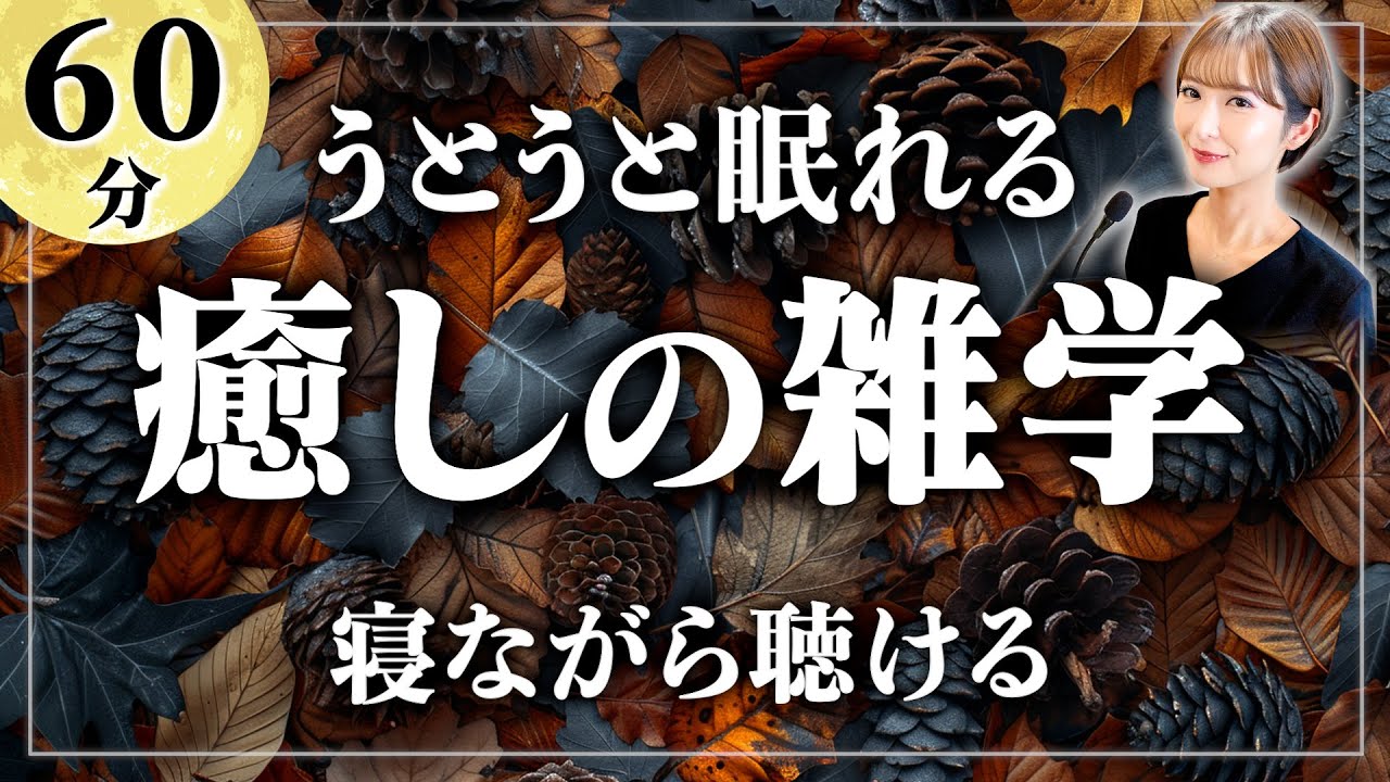 【睡眠用雑学】今夜も素敵な夢を見ましょう。寝ながら聴ける眠れるラジオ【女性朗読】