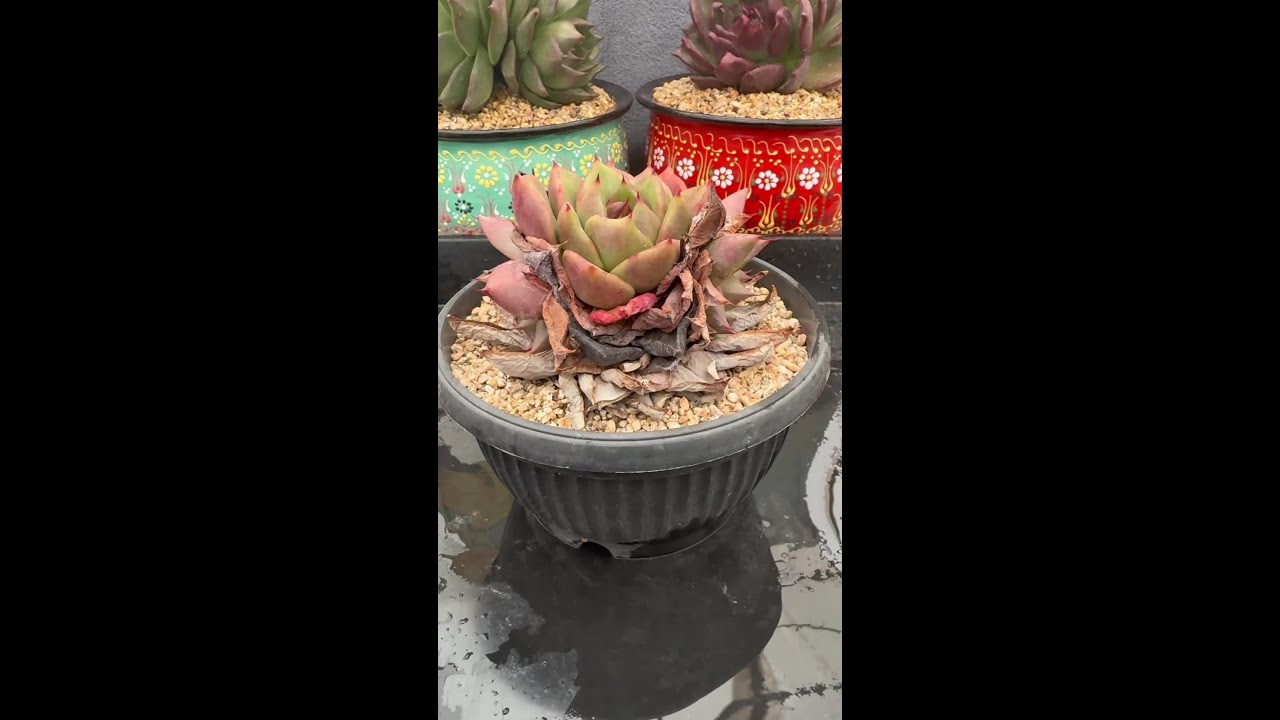 不抱怨，不解释，要做的就是坚持(≖‿≖...活