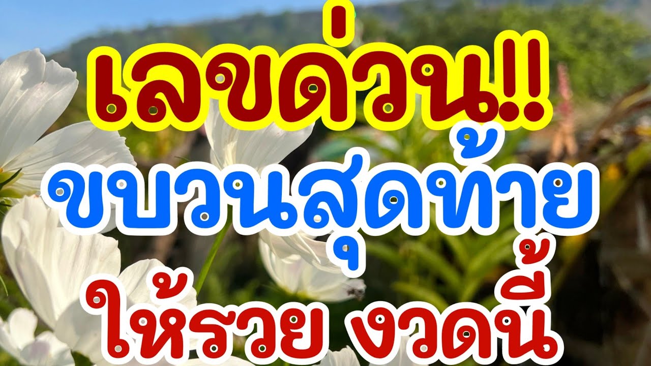 เลขด่วน!! ขบวนสุดท้าย ให้รวย งวดนี้ 16 มี.ค. 69 [EP.10]