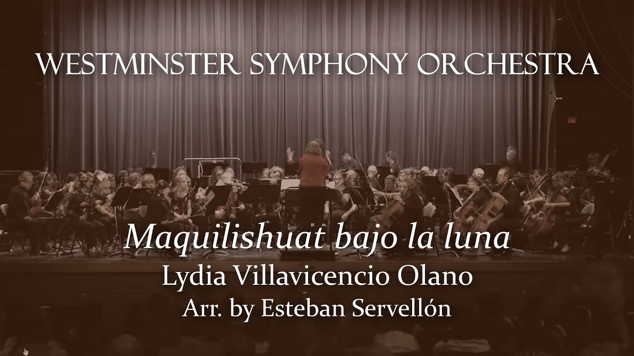 Maquilishuat bajo la luna by Lydia Villavicencio Olano