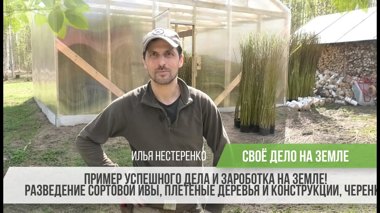 Успешный пример дела и заработка на земле - Сортовая ива и плетёные живые изделия / Илья Нестеренко