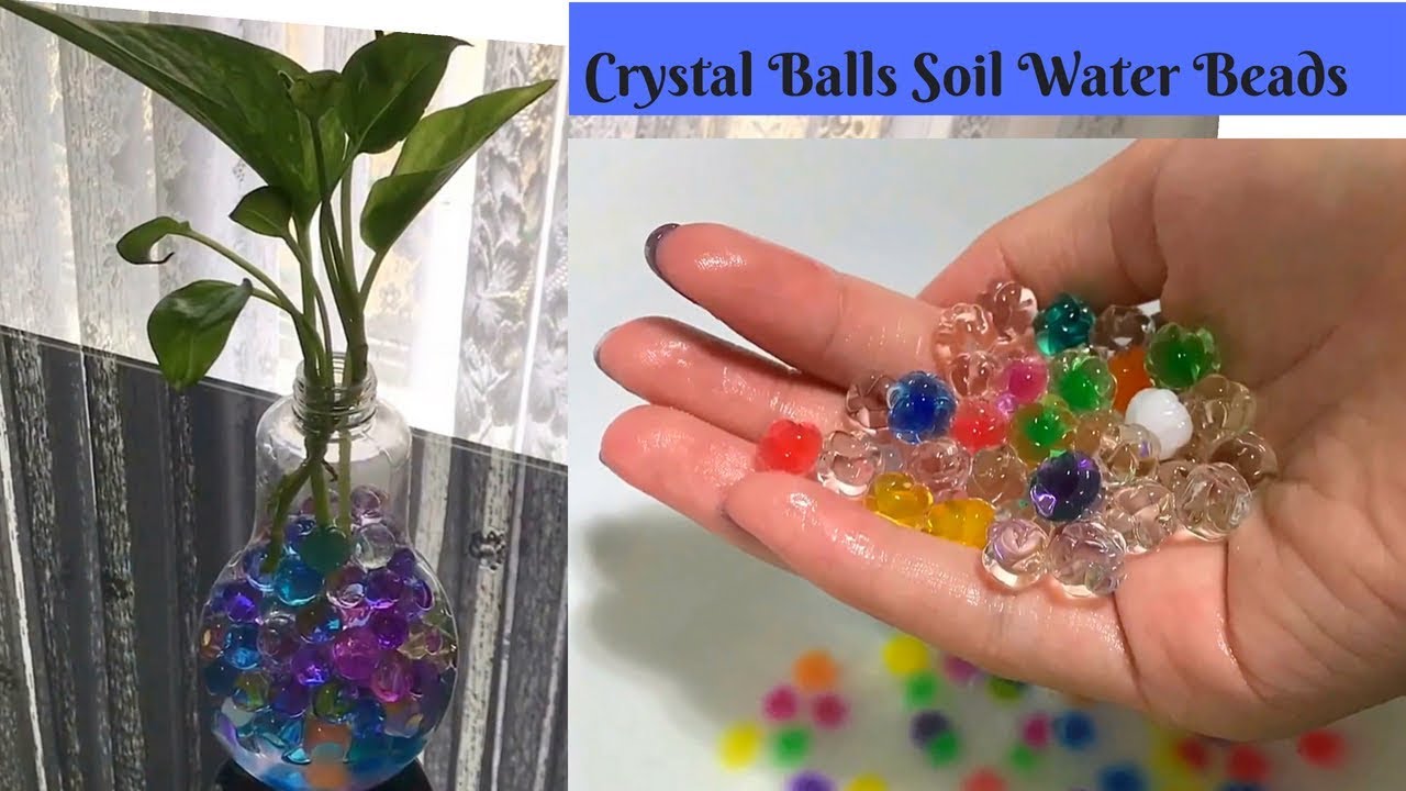 Crystal Balls Soil Water Beads