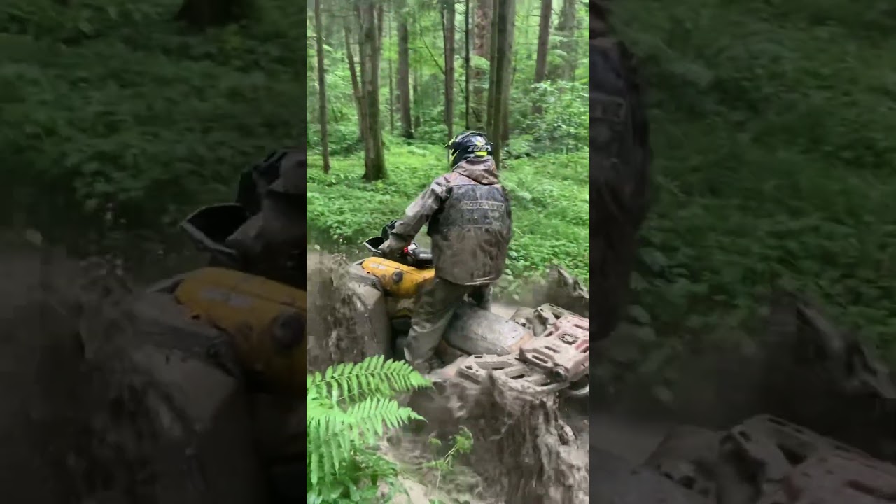 #brp #canam #видео #offroad #прогулка #mud #квадроцикл #atv #лес #лето #болота