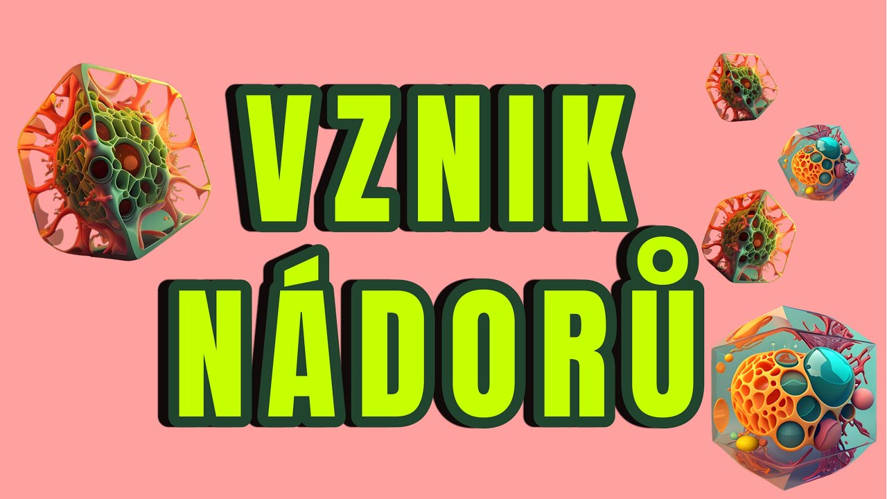 JAK VZNIKÁ RAKOVINA? (příčiny, karcinogeneze, nádorové bujení, zodpovědné geny)