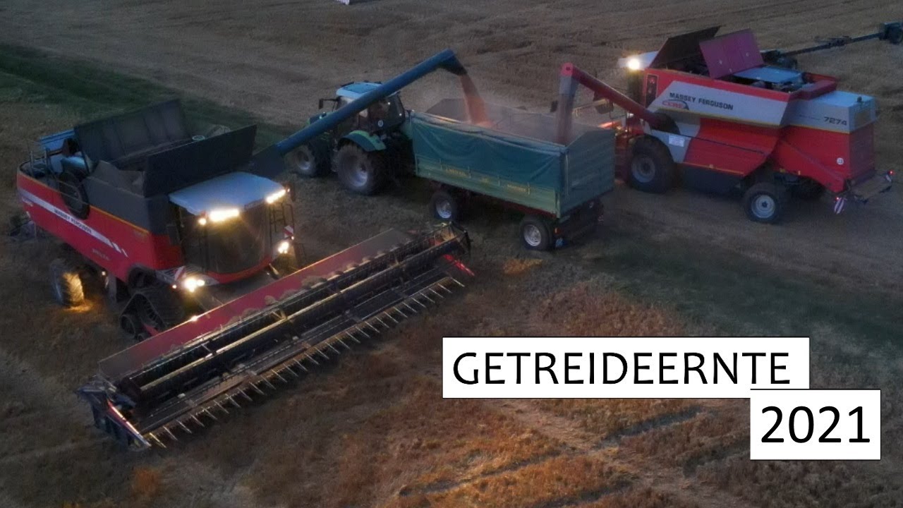 Großauftrag Weizenernte 🚜 Massey Ferguson Mähdrescher im Einsatz!