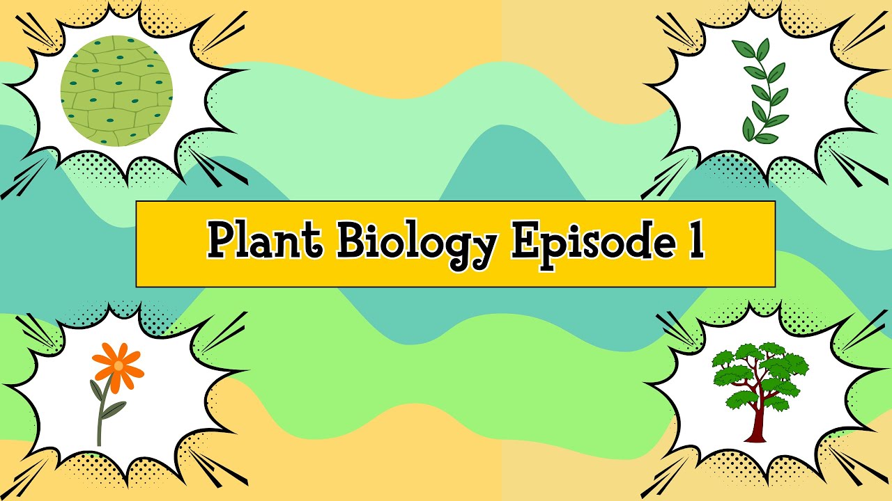 Plant Biology: Episode 1 - The Diversification of Plant Studies & Research