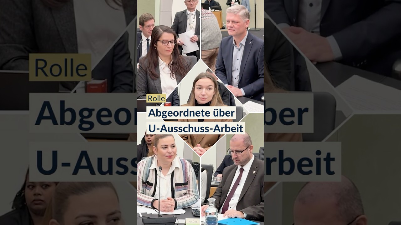 Aufgabe & Rolle: Abgeordnete &uuml;ber ihre Arbeit im U-Ausschuss