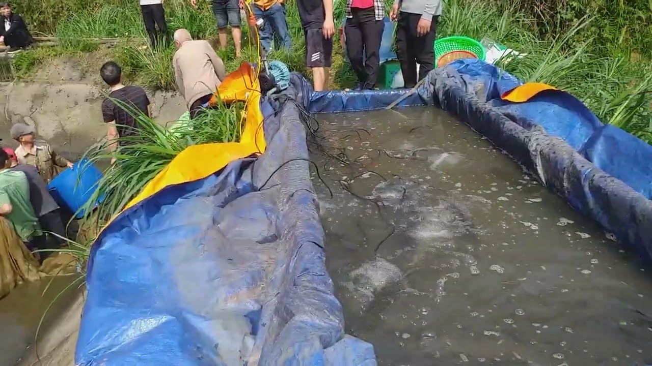 Khám phá bắt cá trên bản siêu to khổng lồ