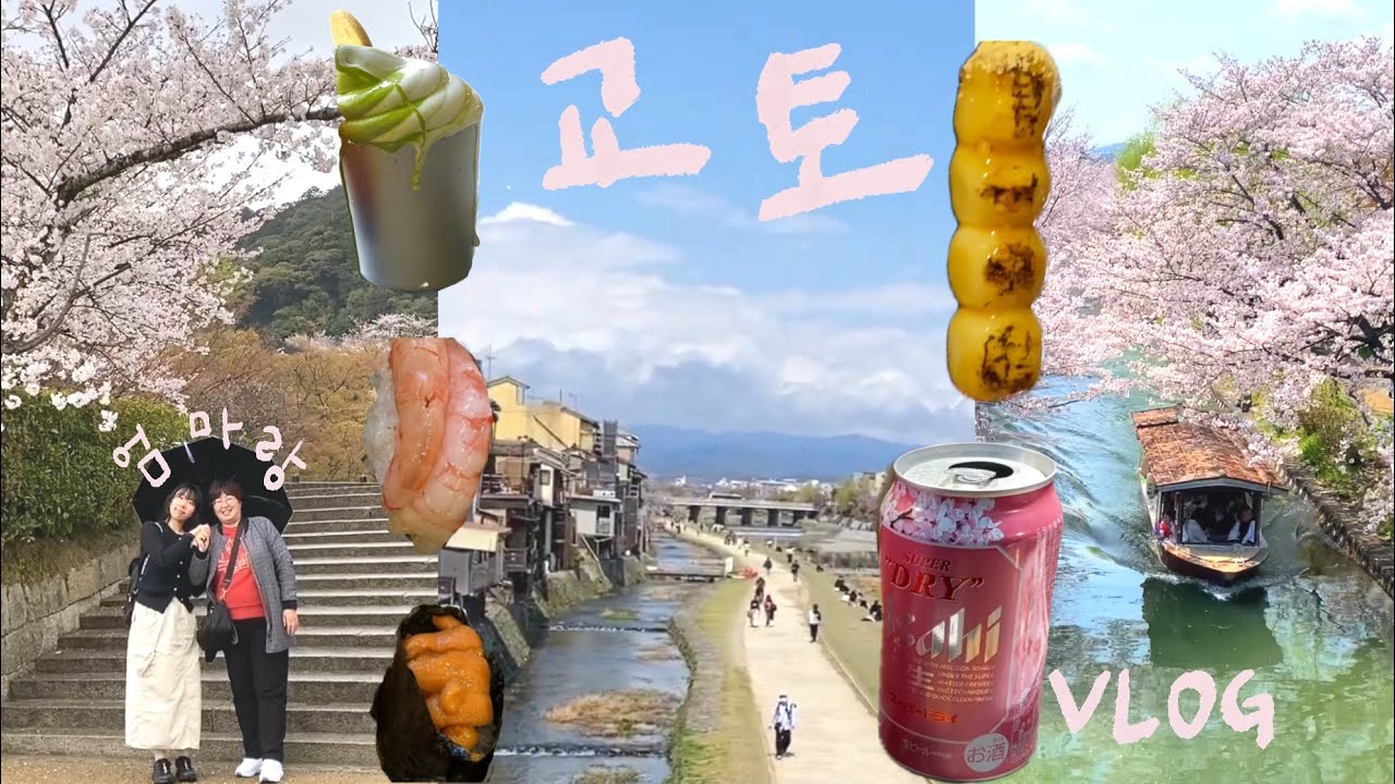 엄마랑 교토 벚꽃 여행 🌸 VLOG 🌸 후시미 짓코쿠부네 🌸 기요미즈데라 🌸가모강 🌸니조성 라이트업
