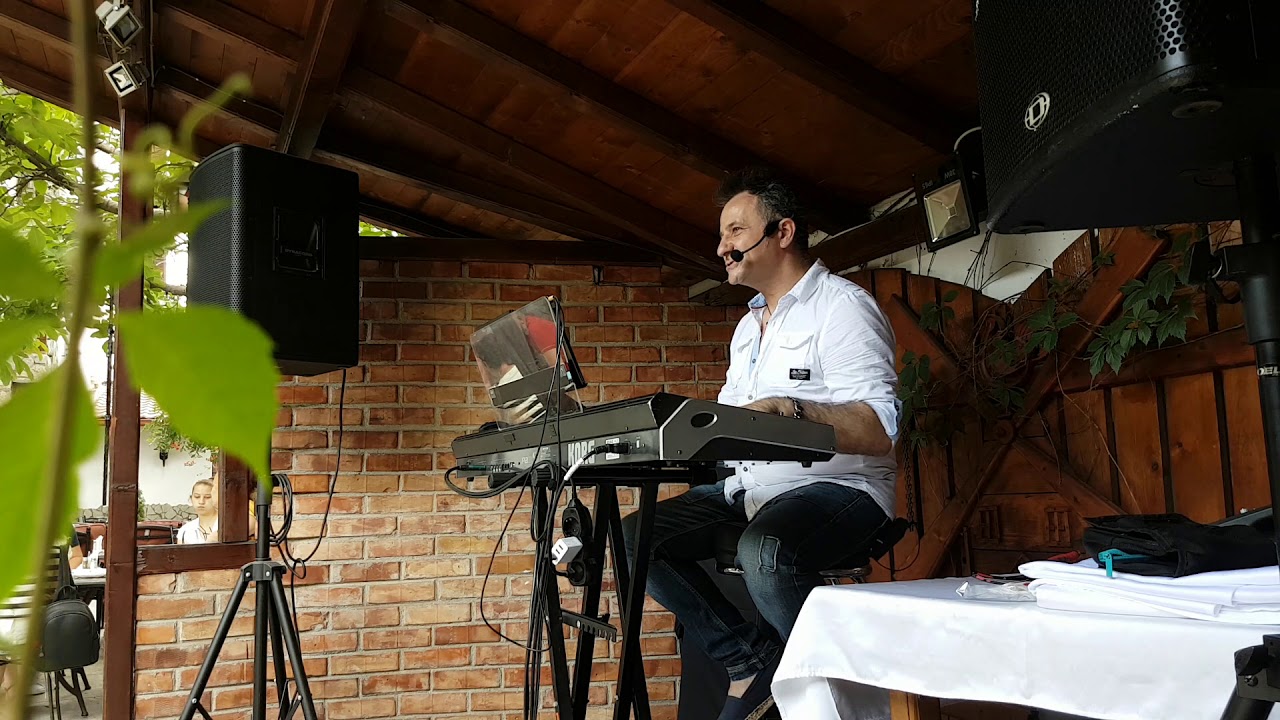 Ion Olteanu - Hoinarul