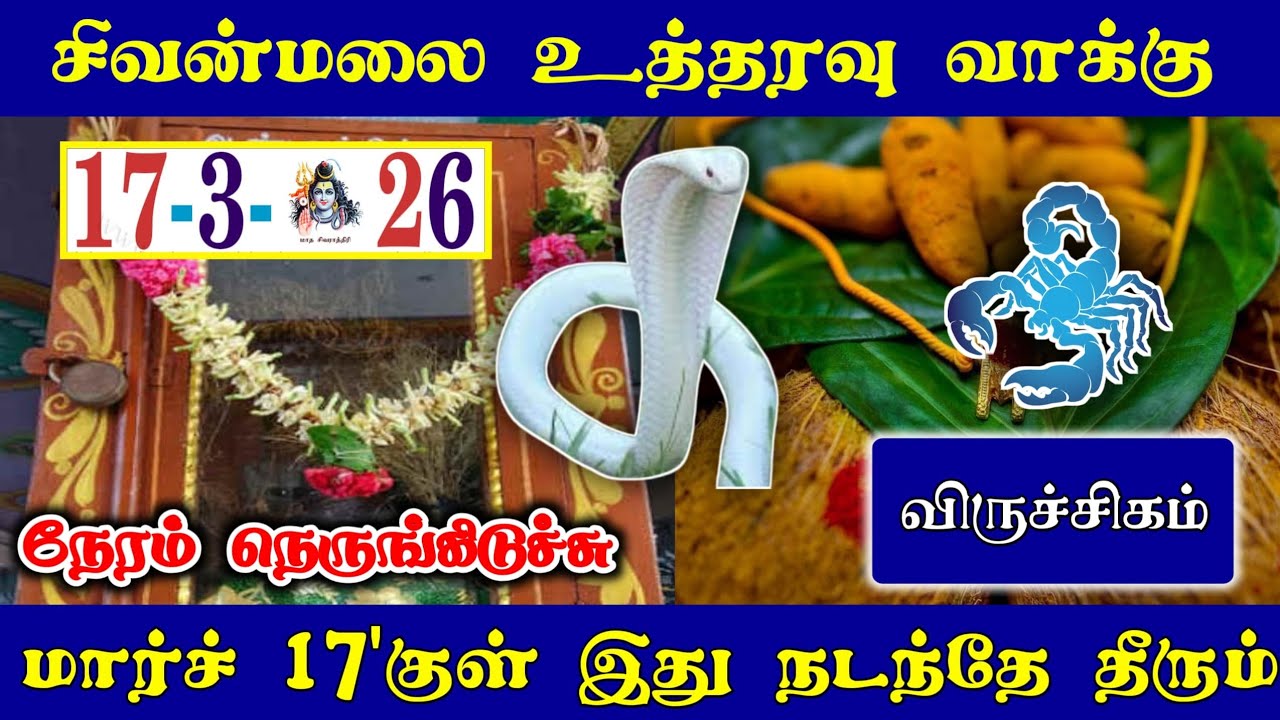 விருச்சிகம் ! நேரம் நெருங்கிடுச்சு! சிவன்மலை உத்தரவு.மார்ச் 17'குள் இது நடந்தே தீரும் !Viruchgamrasi