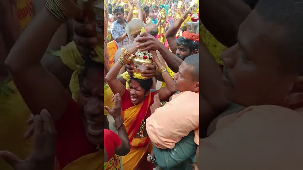 2025 சாம கொடை part 4 பால் குடம் சாஸ்தா அய்யனார் பேச்சியம்மன் கருப்பசாமி கோயில் 