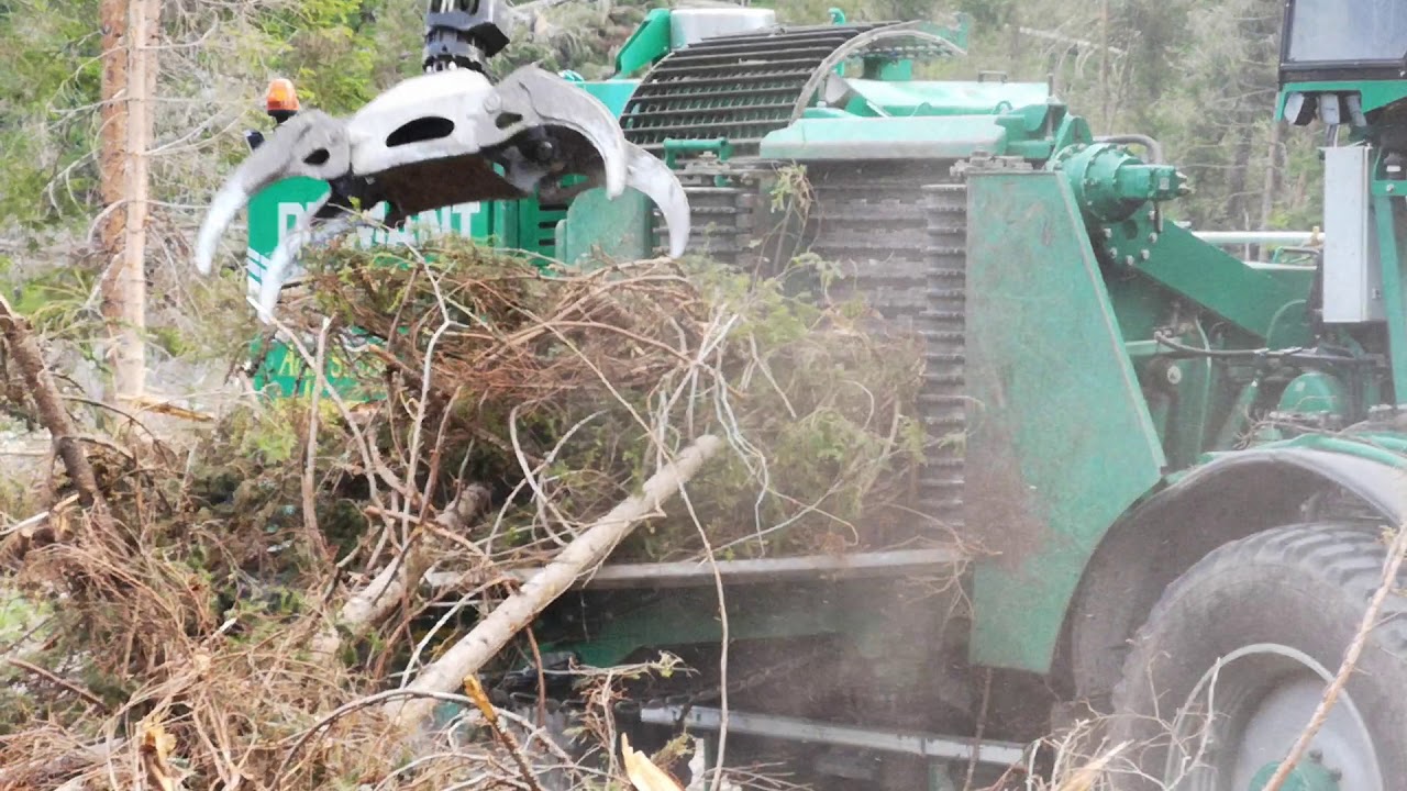 Val visdende, tempesta Vaia 2019